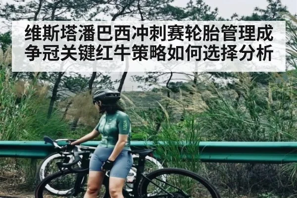 维斯塔潘巴西冲刺赛轮胎管理成争冠关键红牛策略如何选择分析 | kaiyun
